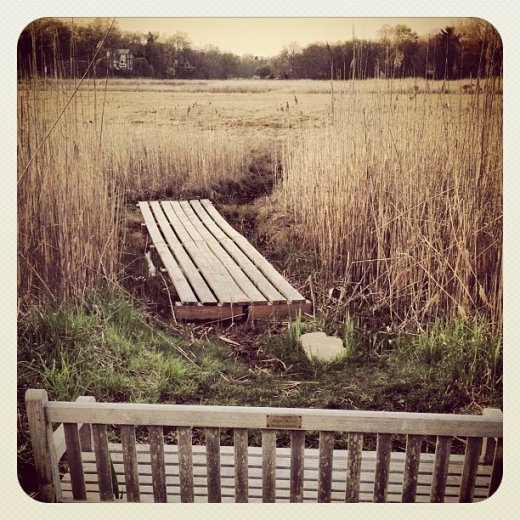 Otter Creek in Mamaroneck City, New York, United States - #1 Photo of Point of interest, Establishment, Park