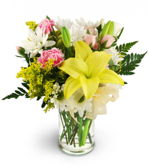 Photo by <br />
<b>Notice</b>:  Undefined index: user in <b>/home/www/activeuser/data/www/vaplace.com/core/views/default/photos.php</b> on line <b>128</b><br />
. Picture for Tuckahoe Florist in Tuckahoe City, New York, United States - Point of interest, Establishment, Store, Florist