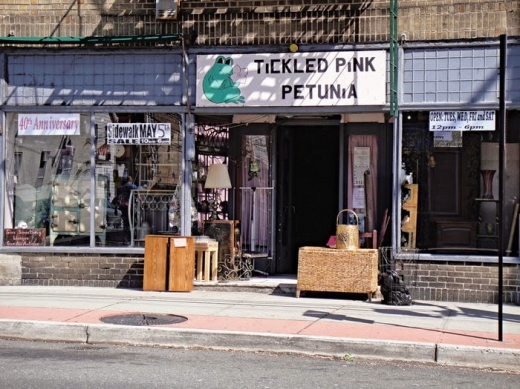 Tickled Pink Petunia in Guttenberg City, New Jersey, United States - #1 Photo of Point of interest, Establishment, Store
