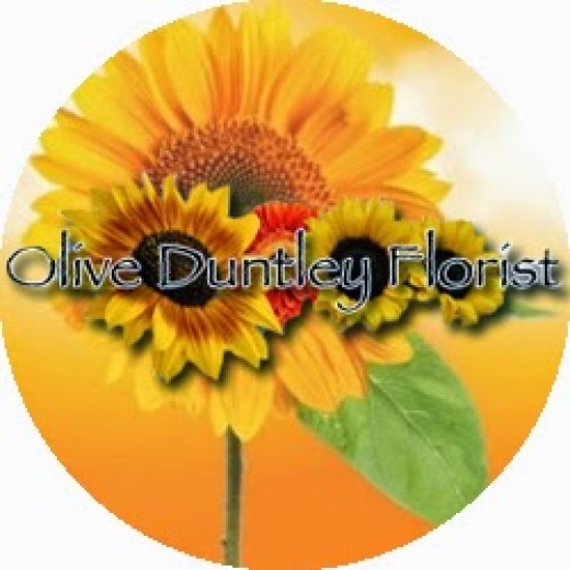 Photo by <br />
<b>Notice</b>:  Undefined index: user in <b>/home/www/activeuser/data/www/vaplace.com/core/views/default/photos.php</b> on line <b>128</b><br />
. Picture for Olive Duntley Florist in Manhasset City, New York, United States - Point of interest, Establishment, Store, Florist