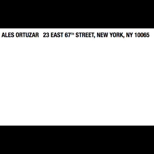 Ales Ortuzar in New York City, New York, United States - #1 Photo of Point of interest, Establishment, Art gallery
