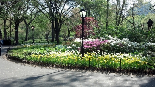 Olmsted Flower Bed in New York City, New York, United States - #1 Photo of Point of interest, Establishment, Park