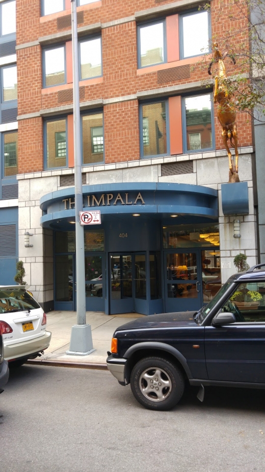 The Impala in New York City, New York, United States - #1 Photo of Point of interest, Establishment