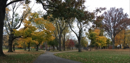 Crocheron Park in Bayside City, New York, United States - #4 Photo of Point of interest, Establishment, Park