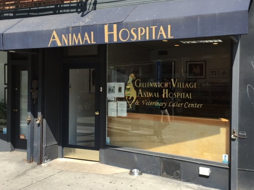 Greenwich Village Animal Hospital in New York City, New York, United States - #3 Photo of Point of interest, Establishment, Veterinary care
