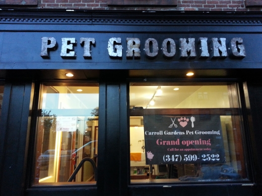 Shaggie 2 Carroll Gardens Pet Grooming in Kings County City, New York, United States - #2 Photo of Point of interest, Establishment, Store, Pet store, Park