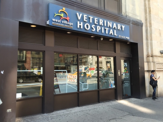 West Village Veterinary Hospital in New York City, New York, United States - #2 Photo of Point of interest, Establishment, Veterinary care