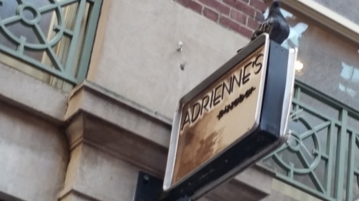 Adrienne's Pizzabar in New York City, New York, United States - #4 Photo of Restaurant, Food, Point of interest, Establishment
