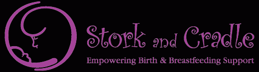 Stork and Cradle, Inc in New York City, New York, United States - #1 Photo of Point of interest, Establishment, Health