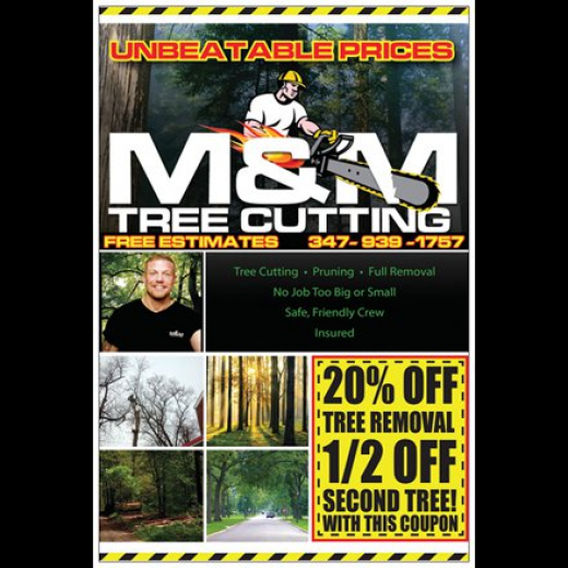 M&M Tree Cutting in Bronx City, New York, United States - #2 Photo of Point of interest, Establishment