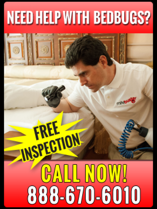Photo by <br />
<b>Notice</b>:  Undefined index: user in <b>/home/www/activeuser/data/www/vaplace.com/core/views/default/photos.php</b> on line <b>128</b><br />
. Picture for MiteBuster Pest Control in Queens City, New York, United States - Point of interest, Establishment, Store, Home goods store