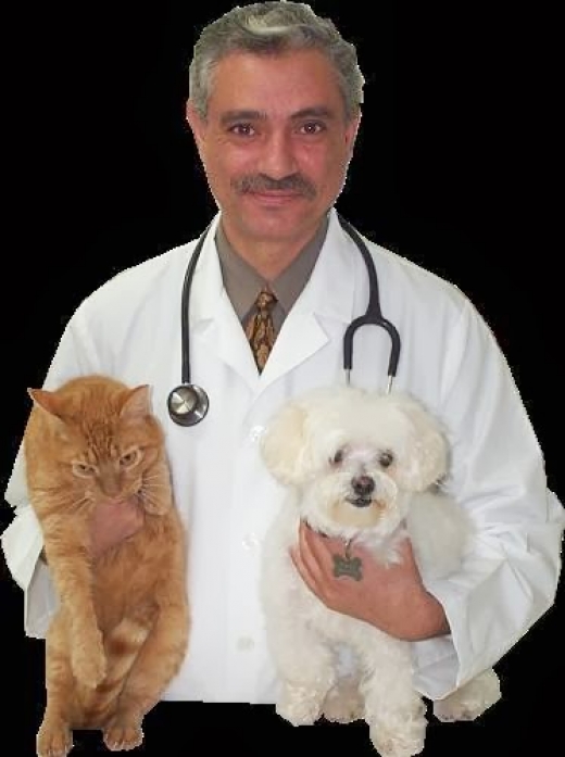 21 Ave Animal Clinic in Astoria City, New York, United States - #1 Photo of Point of interest, Establishment, Veterinary care