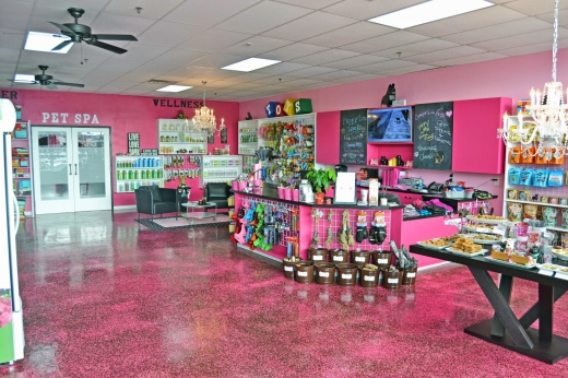 Woof Gang Bakery & Grooming Aberdeen in Monmouth County City, New Jersey, United States - #1 Photo of Point of interest, Establishment, Store, Pet store
