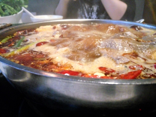 Photo by <br />
<b>Notice</b>:  Undefined index: user in <b>/home/www/activeuser/data/www/vaplace.com/core/views/default/photos.php</b> on line <b>128</b><br />
. Picture for Udu Shabu Shabu in Queens City, New York, United States - Restaurant, Food, Point of interest, Establishment