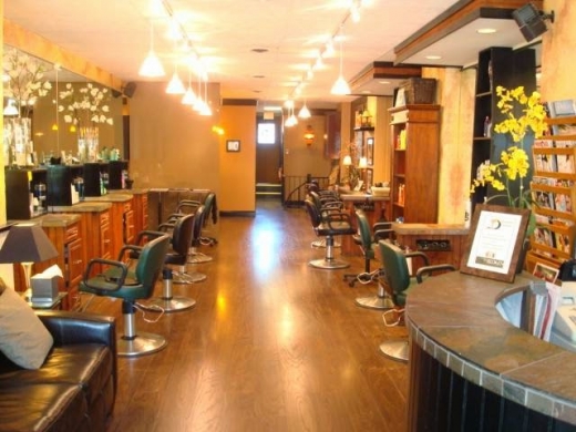 Daniard's Salon in Ridgewood City, New Jersey, United States - #1 Photo of Point of interest, Establishment, Store, Spa, Beauty salon