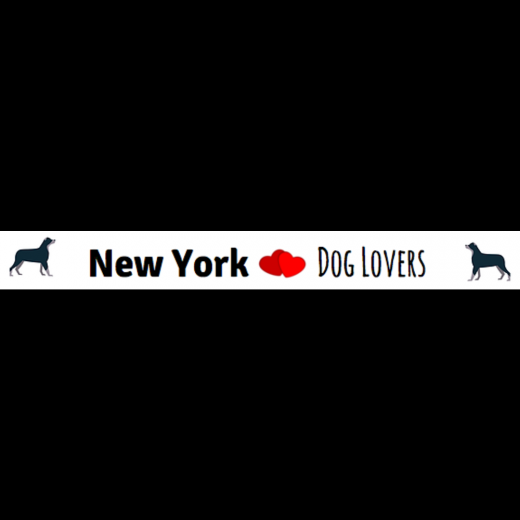 Photo by <br />
<b>Notice</b>:  Undefined index: user in <b>/home/www/activeuser/data/www/vaplace.com/core/views/default/photos.php</b> on line <b>128</b><br />
. Picture for New York Dog Lovers - Dog Walker in Kings County City, New York, United States - Point of interest, Establishment