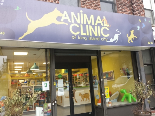 Animal Clinic of Long Island City in Astoria City, New York, United States - #1 Photo of Point of interest, Establishment, Veterinary care