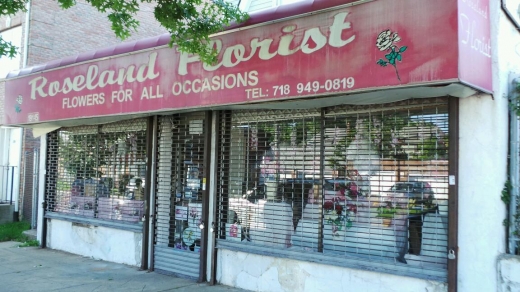 Roseland Florist in Saint Albans City, New York, United States - #1 Photo of Point of interest, Establishment, Store, Florist