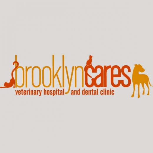 Pure Paws Veterinary Care in Brooklyn City, New York, United States - #2 Photo of Point of interest, Establishment, Veterinary care