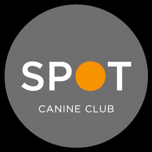 SPOT Canine Club - Chelsea in New York City, New York, United States - #4 Photo of Point of interest, Establishment