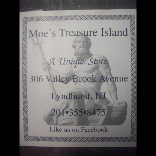 Moe's Treasure Island in Lyndhurst City, New Jersey, United States - #3 Photo of Point of interest, Establishment, Store, Electronics store