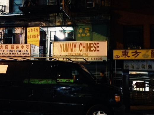 Yummy Chinese in New York City, New York, United States - #1 Photo of Restaurant, Food, Point of interest, Establishment