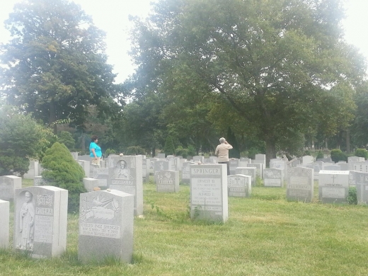 Photo by Alfredo Fiestas for The Evergreens Cemetery