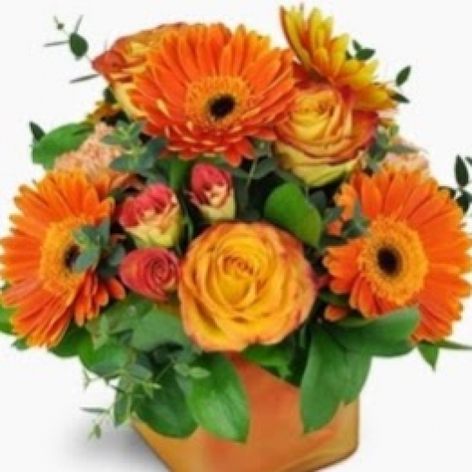 Photo by <br />
<b>Notice</b>:  Undefined index: user in <b>/home/www/activeuser/data/www/vaplace.com/core/views/default/photos.php</b> on line <b>128</b><br />
. Picture for Ariana Florist in Whitestone City, New York, United States - Point of interest, Establishment, Store, Florist