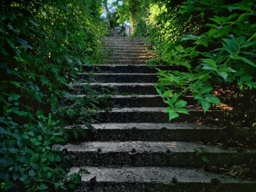 The Secret Staircase in Richmond City, New York, United States - #1 Photo of Point of interest, Establishment, Park