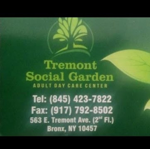 Photo by Tremont Social Garden for Tremont Social Garden