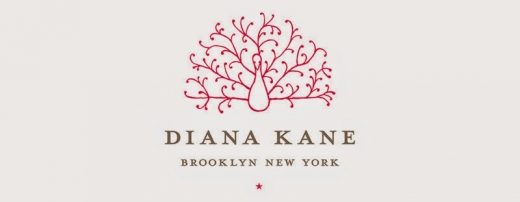 Diana Kane in Brooklyn City, New York, United States - #4 Photo of Point of interest, Establishment, Store, Jewelry store, Clothing store