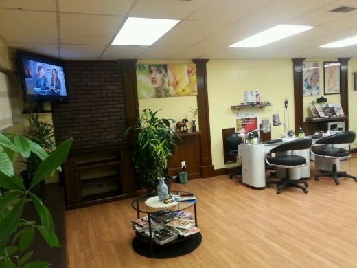 Loti Daz Hair Studio in Union City, New Jersey, United States - #1 Photo of Point of interest, Establishment, Beauty salon