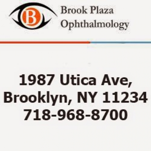 Brook Plaza Ophthalmology in Brooklyn City, New York, United States - #2 Photo of Point of interest, Establishment, Health, Doctor