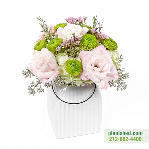 Photo by <br />
<b>Notice</b>:  Undefined index: user in <b>/home/www/activeuser/data/www/vaplace.com/core/views/default/photos.php</b> on line <b>128</b><br />
. Picture for PlantShed New York Flowers in New York City, New York, United States - Point of interest, Establishment, Store, General contractor, Florist