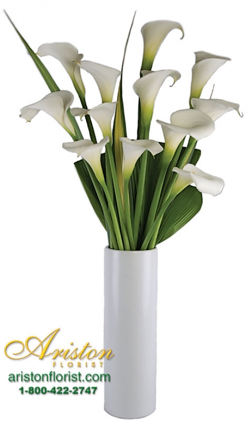 Photo by <br />
<b>Notice</b>:  Undefined index: user in <b>/home/www/activeuser/data/www/vaplace.com/core/views/default/photos.php</b> on line <b>128</b><br />
. Picture for Ariston Florist in New York City, New York, United States - Point of interest, Establishment, Store, Florist