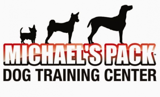 Michael's Pack Dog Training Center in Mineola City, New York, United States - #2 Photo of Point of interest, Establishment