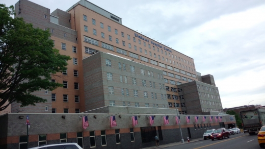 NYC Health + Hospitals/Elmhurst in Elmhurst City, New York, United States - #1 Photo of Point of interest, Establishment, Health, Hospital