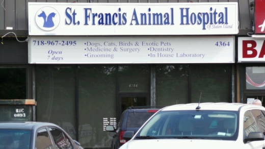 Photo by Walkerthree AUS for St Francis Animal Hospital-Staten