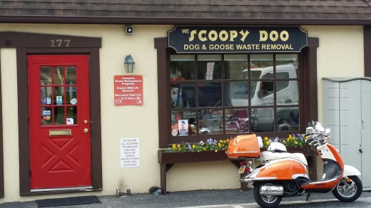 Scoopy Doo in Locust Valley City, New York, United States - #1 Photo of Point of interest, Establishment