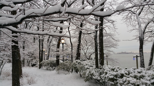 South Cove Park in New York City, New York, United States - #3 Photo of Point of interest, Establishment, Park