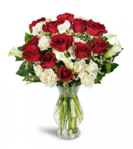 Photo by <br />
<b>Notice</b>:  Undefined index: user in <b>/home/www/activeuser/data/www/vaplace.com/core/views/default/photos.php</b> on line <b>128</b><br />
. Picture for Gloria's Florist in Elmwood Park City, New Jersey, United States - Point of interest, Establishment, Store, Florist