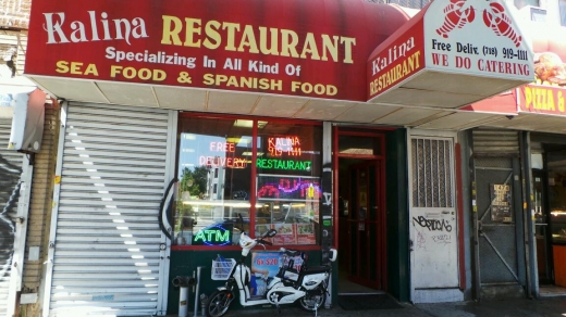 Kalina Bar & Grill in Brooklyn City, New York, United States - #2 Photo of Restaurant, Food, Point of interest, Establishment