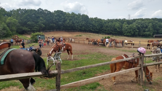 Legacy Riding Stables in Sayreville City, New Jersey, United States - #1 Photo of Point of interest, Establishment