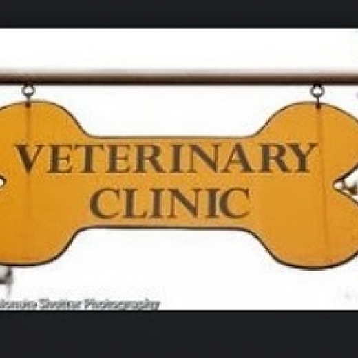 Bedford Stuyvesant Veterinary Clinic in Kings County City, New York, United States - #2 Photo of Point of interest, Establishment, Veterinary care