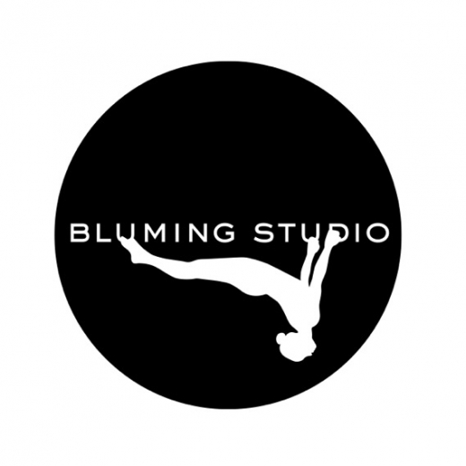 Bluming Studio, LLC in Kings County City, New York, United States - #3 Photo of Point of interest, Establishment, Health, Gym