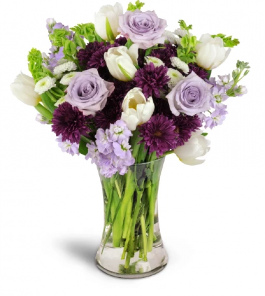 Photo by <br />
<b>Notice</b>:  Undefined index: user in <b>/home/www/activeuser/data/www/vaplace.com/core/views/default/photos.php</b> on line <b>128</b><br />
. Picture for Gloria's Florist in Elmwood Park City, New Jersey, United States - Point of interest, Establishment, Store, Florist