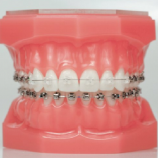 NorthShore Orthodontics in Whitestone City, New York, United States - #3 Photo of Point of interest, Establishment, Health, Dentist