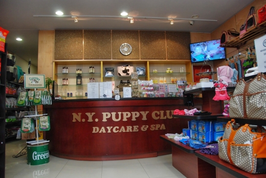 NY Puppy Club (Northern) in Queens City, New York, United States - #1 Photo of Point of interest, Establishment, Store, Pet store