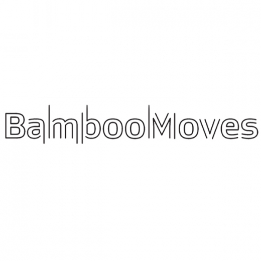 Bamboo Moves in Queens City, New York, United States - #3 Photo of Point of interest, Establishment, Health, Gym
