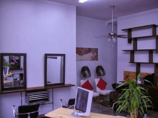 Taina Salon in Astoria City, New York, United States - #2 Photo of Point of interest, Establishment, Beauty salon, Hair care